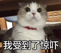 大家都开始关注内服变美，但你知道护发内服产品的选择更重要吗