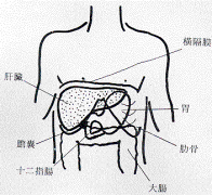 为什么乙肝常伴胃病？北京治乙肝向老解析两者关联