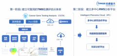 抗癌登月助推中国TMB标准化