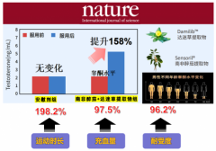 2025年5款男性活力产品深度解析：如何科学提升精力与